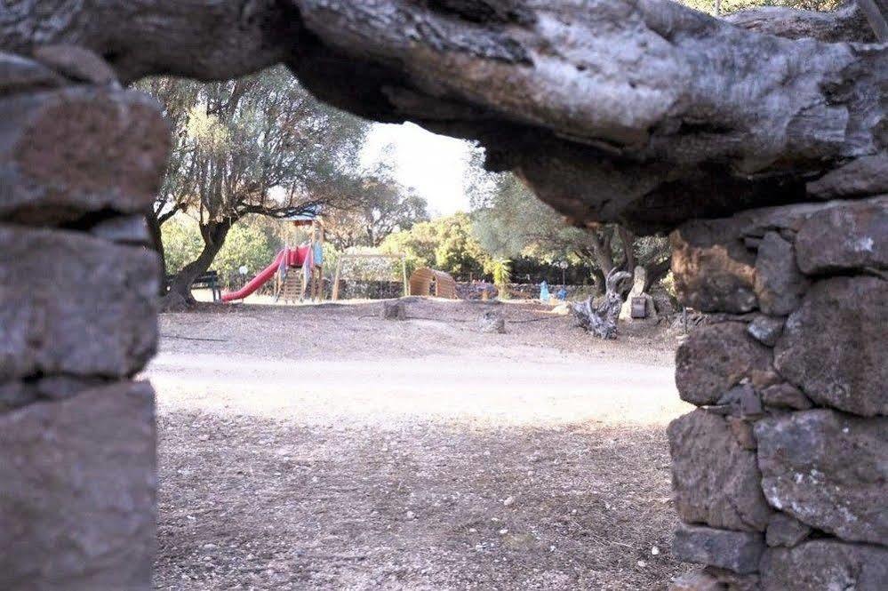 S'ozzastru Casa de Campo *